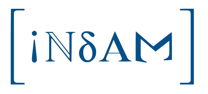 INdAM Logo